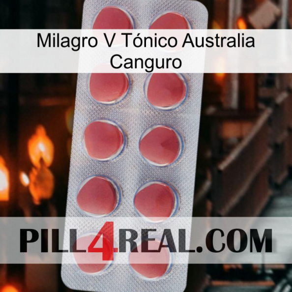 Milagro V Tónico Australia Canguro 18.jpg